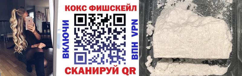 что такое   Каменногорск  COCAIN FishScale 
